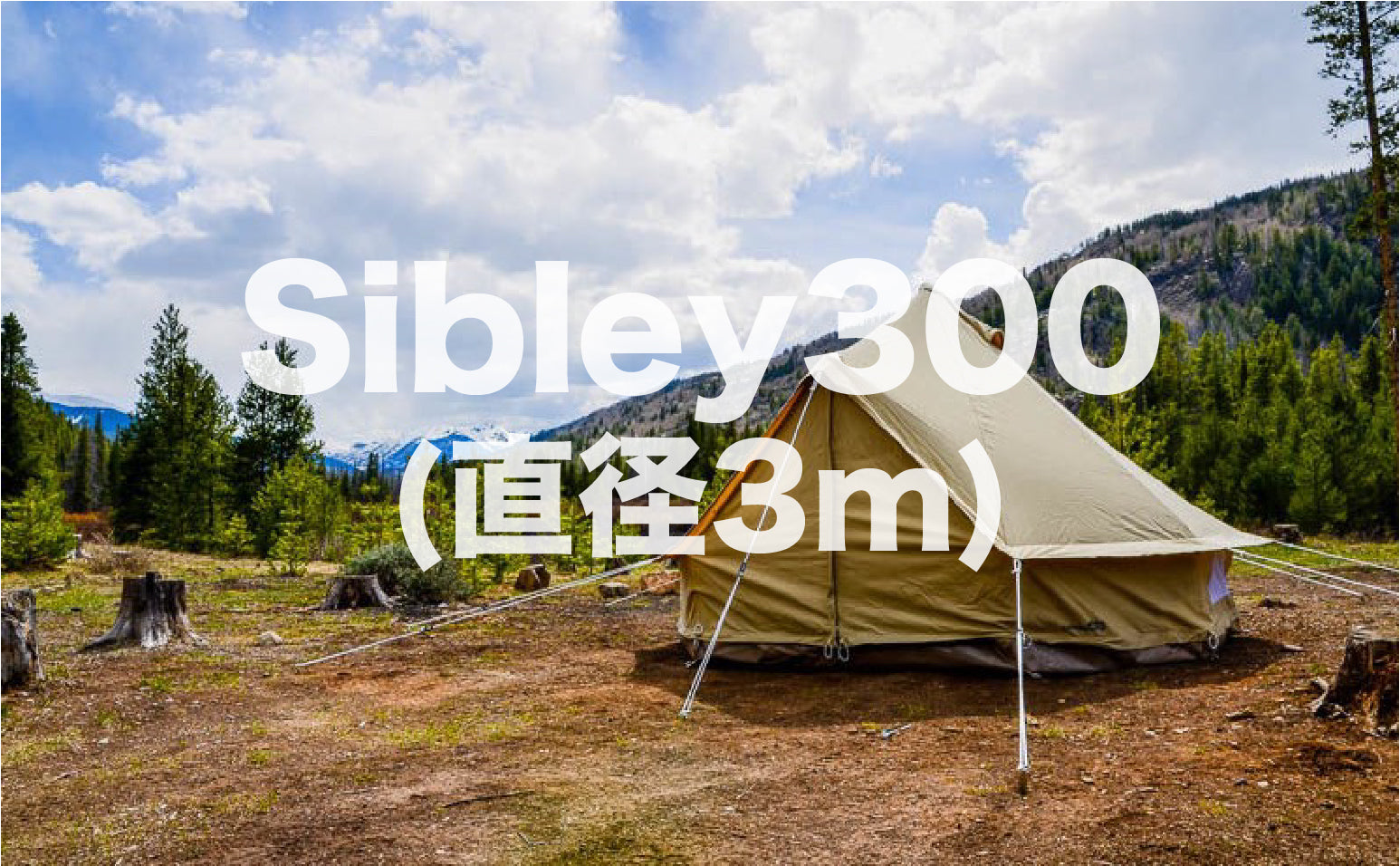 Sibley 300 ProTech – VILLAGE STYLE